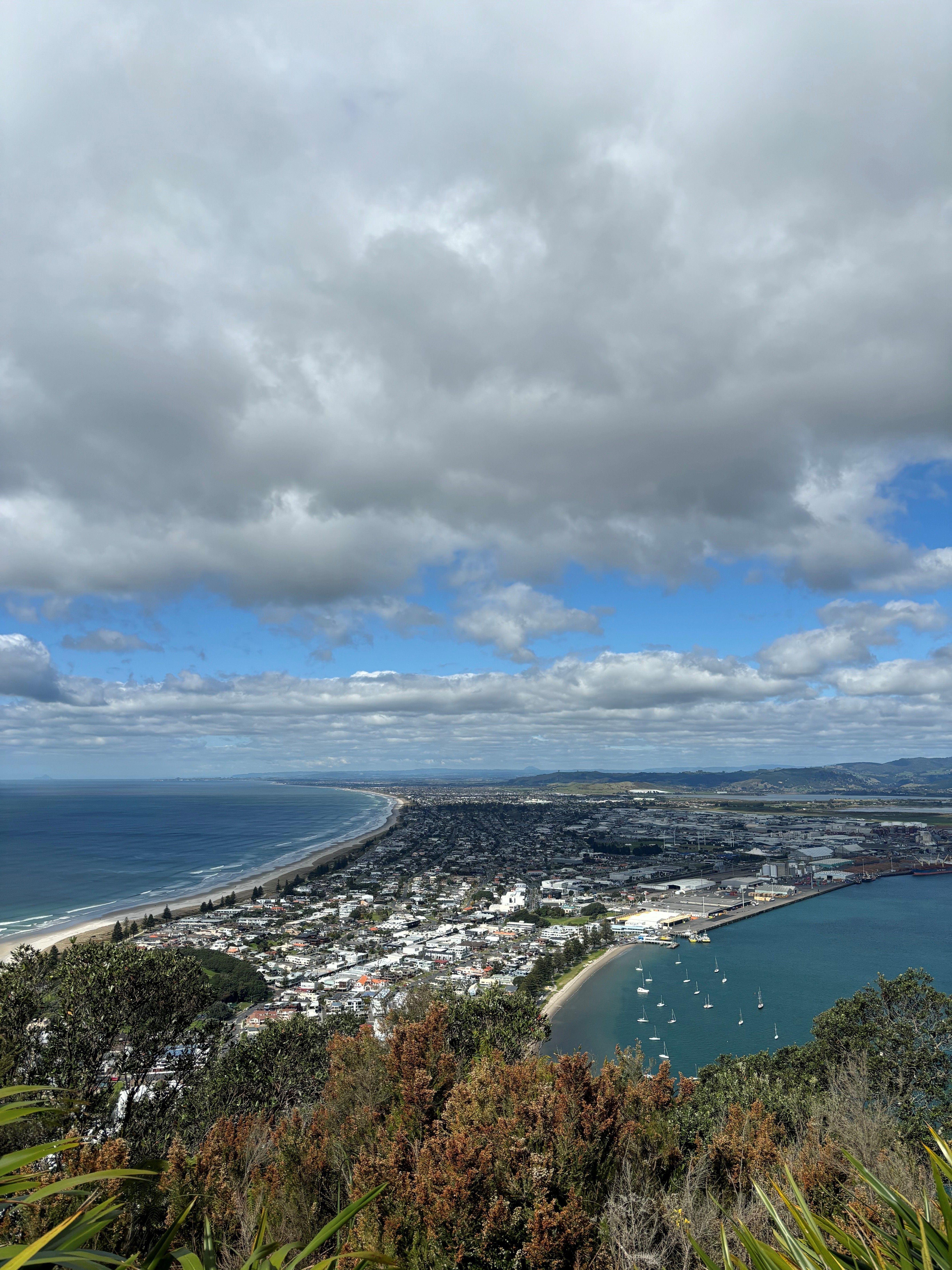 Ausblick über Tauranga