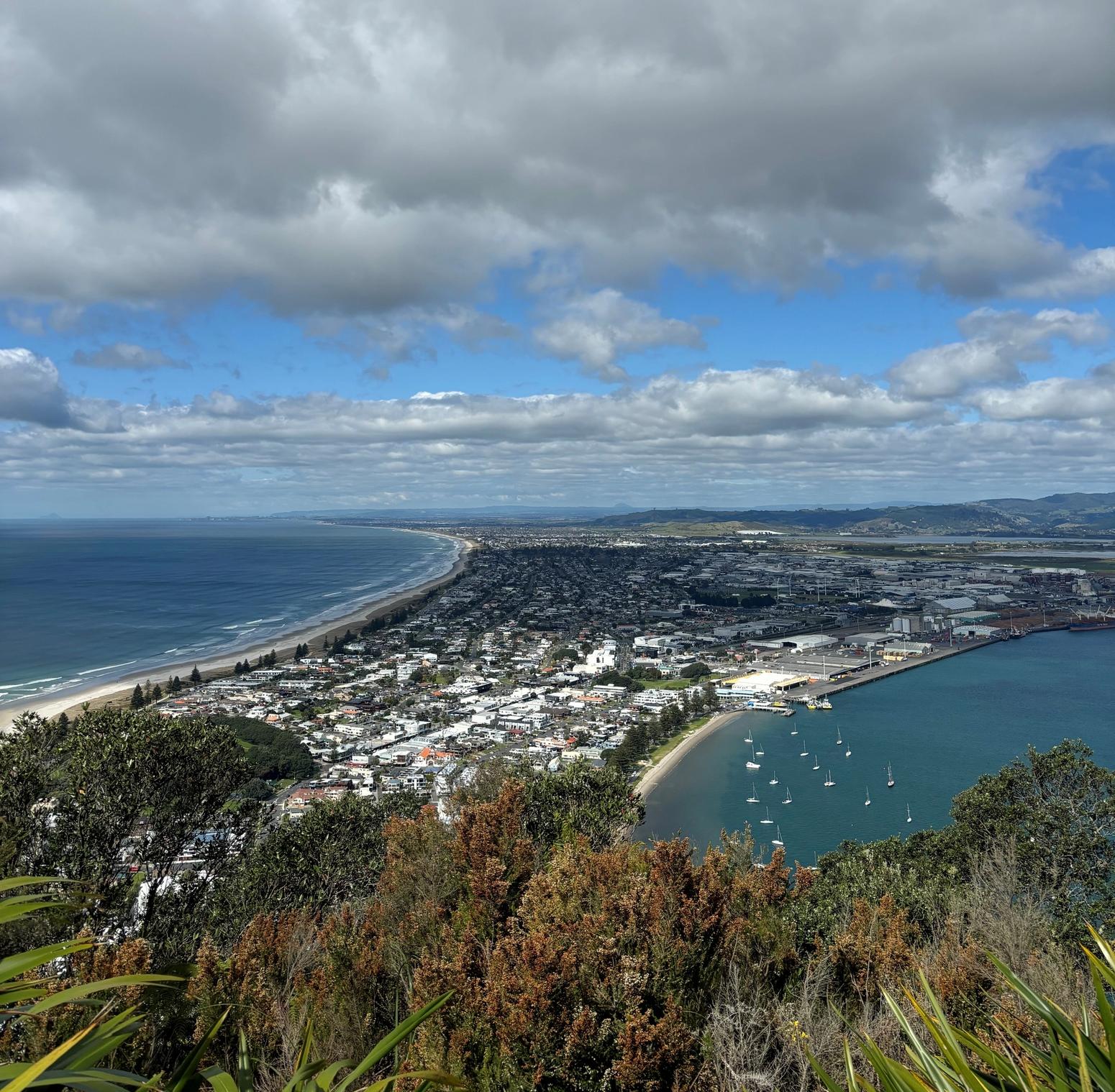 Ausblick über Tauranga