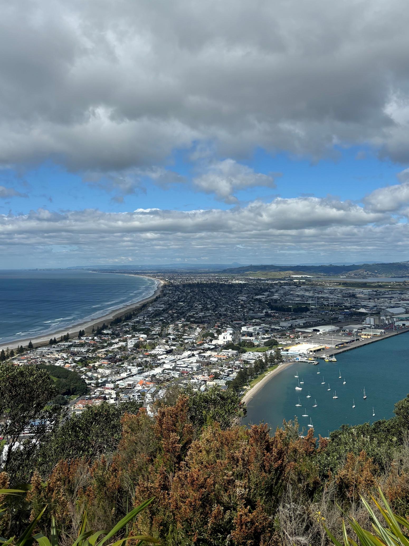 Ausblick über Tauranga