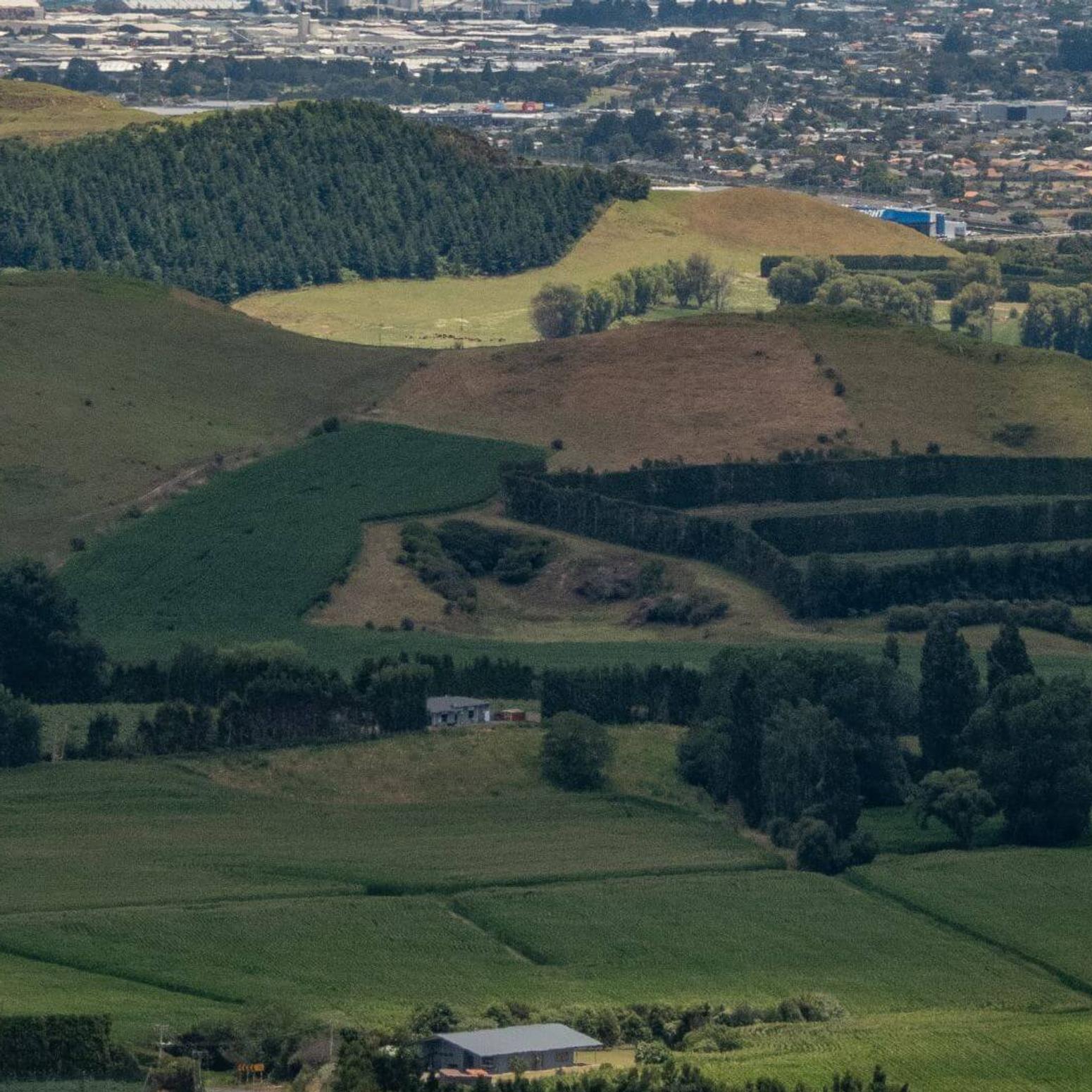 Grüne Landschaft
