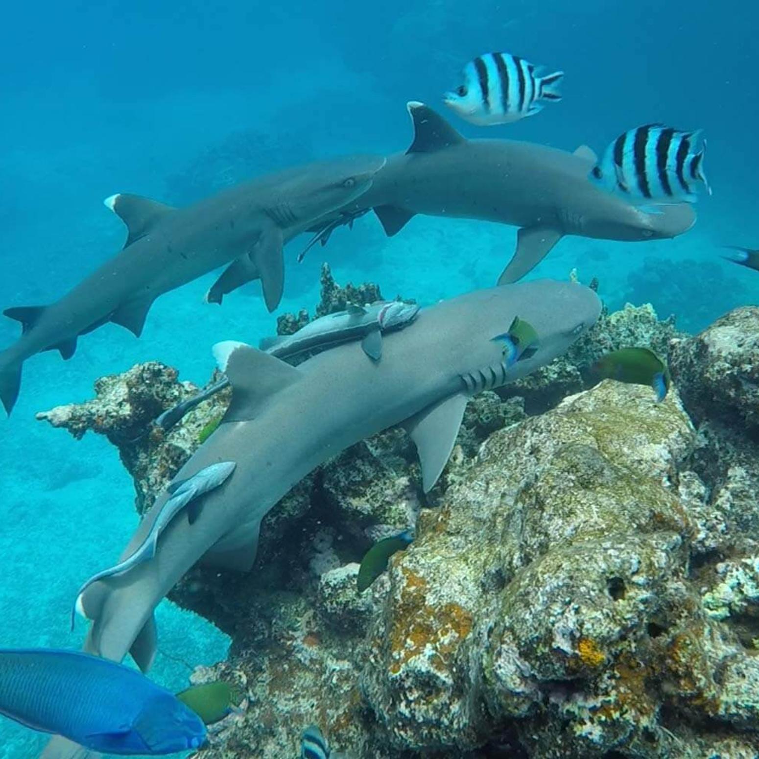 Aaron in Neuseeland #4: Ferien auf neuseeländische Art