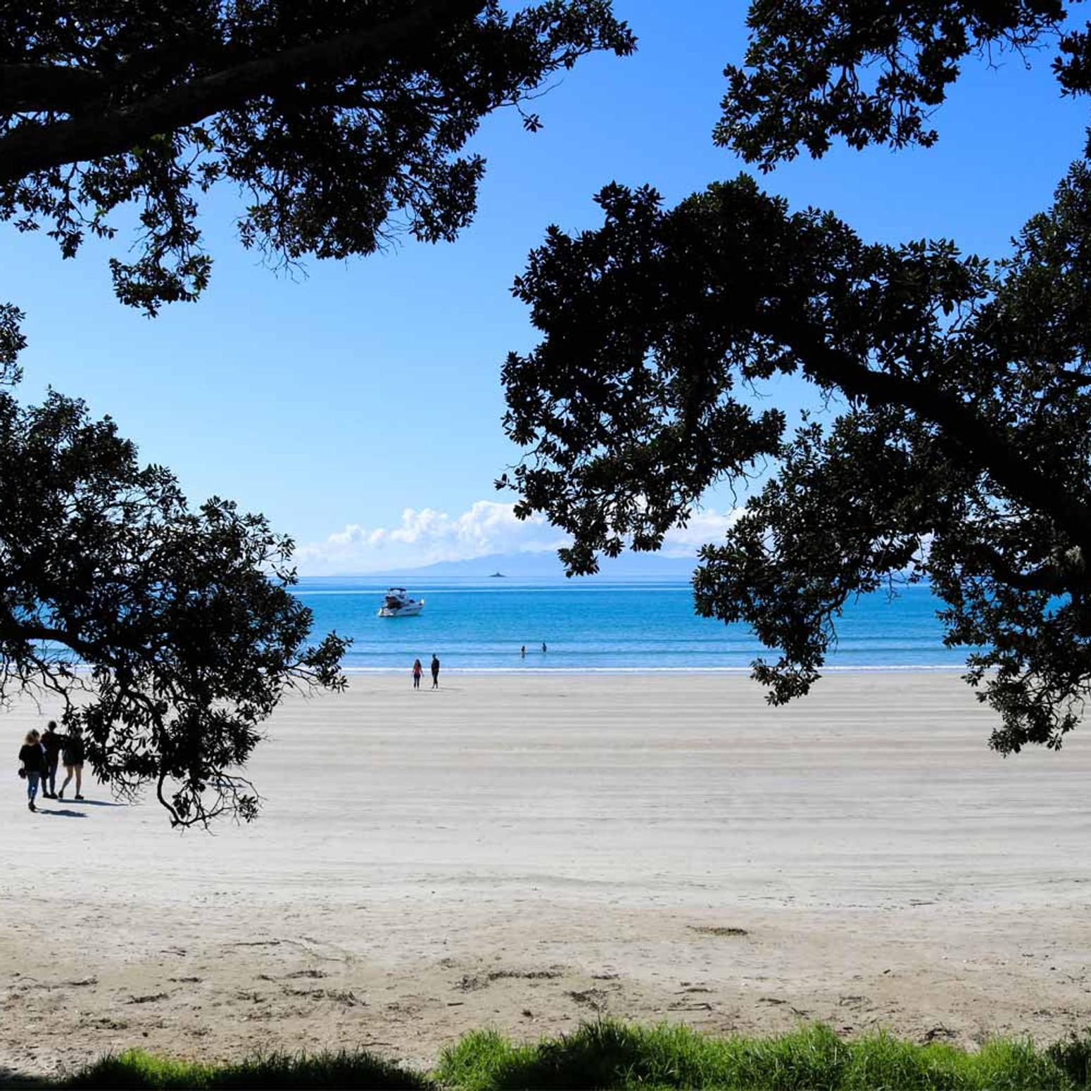 Aaron in Neuseeland #2: Glühwürmchen und Wunderland