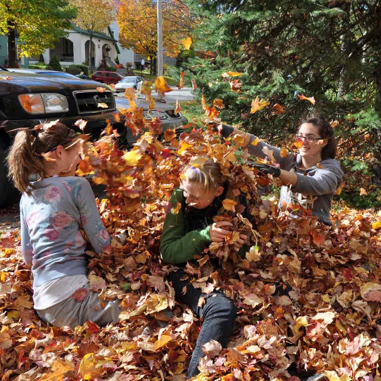 Kinder spielen im Laub