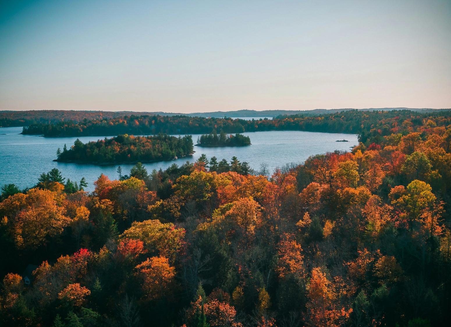Landschaftsaufnahme der Wälder Ontarios