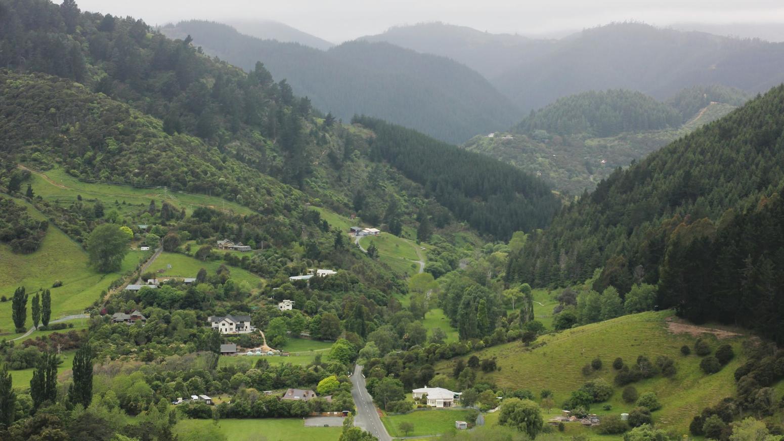 Hügellandschaft in Nelson