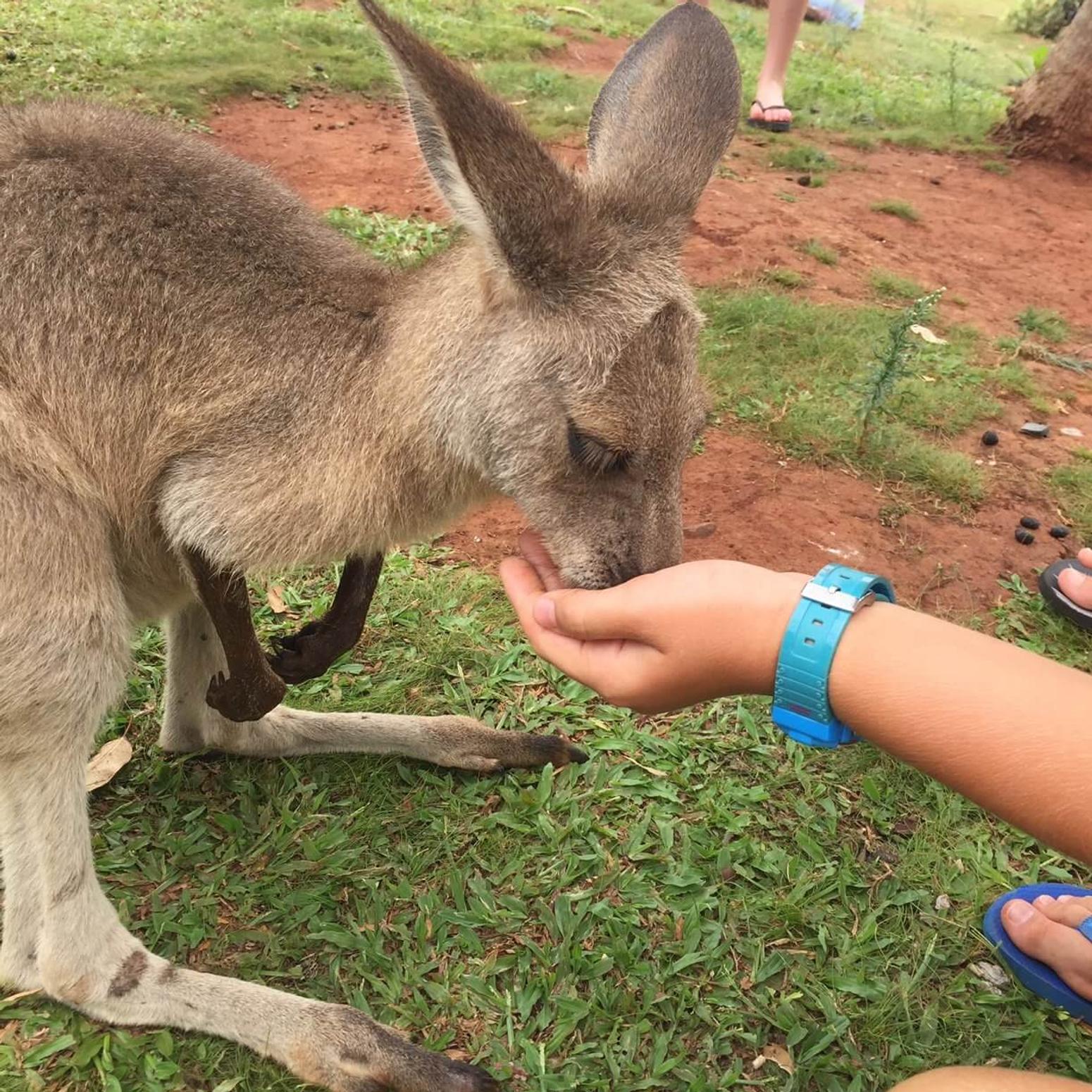 Das Jahr, das mein Leben auf den Kopf stellte