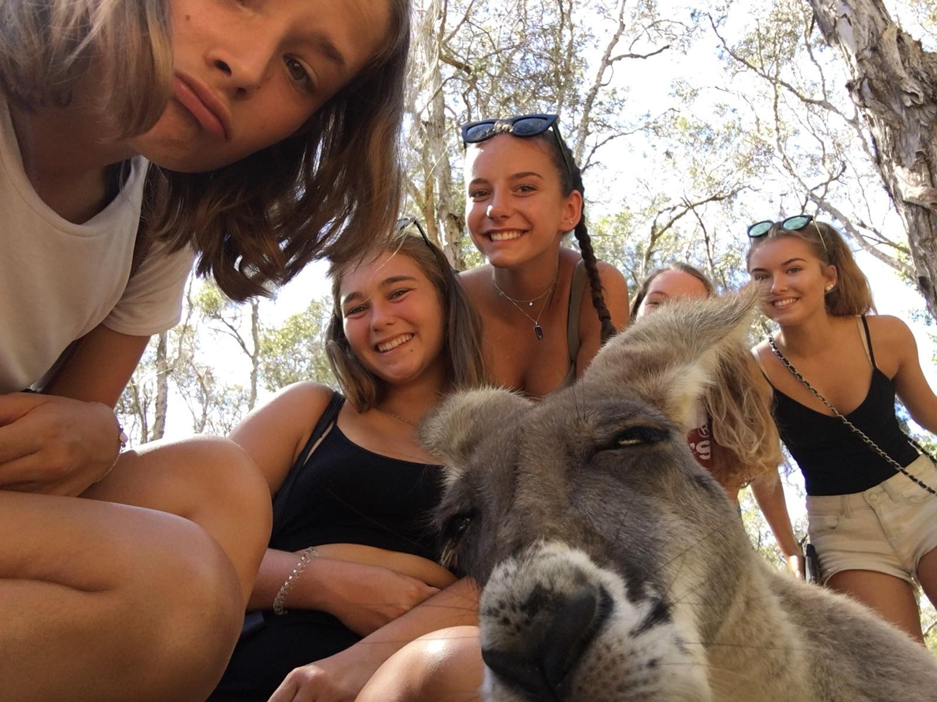 Gruppe von Jungen Frauen posieren mit inem Kangoroo für eine Foto