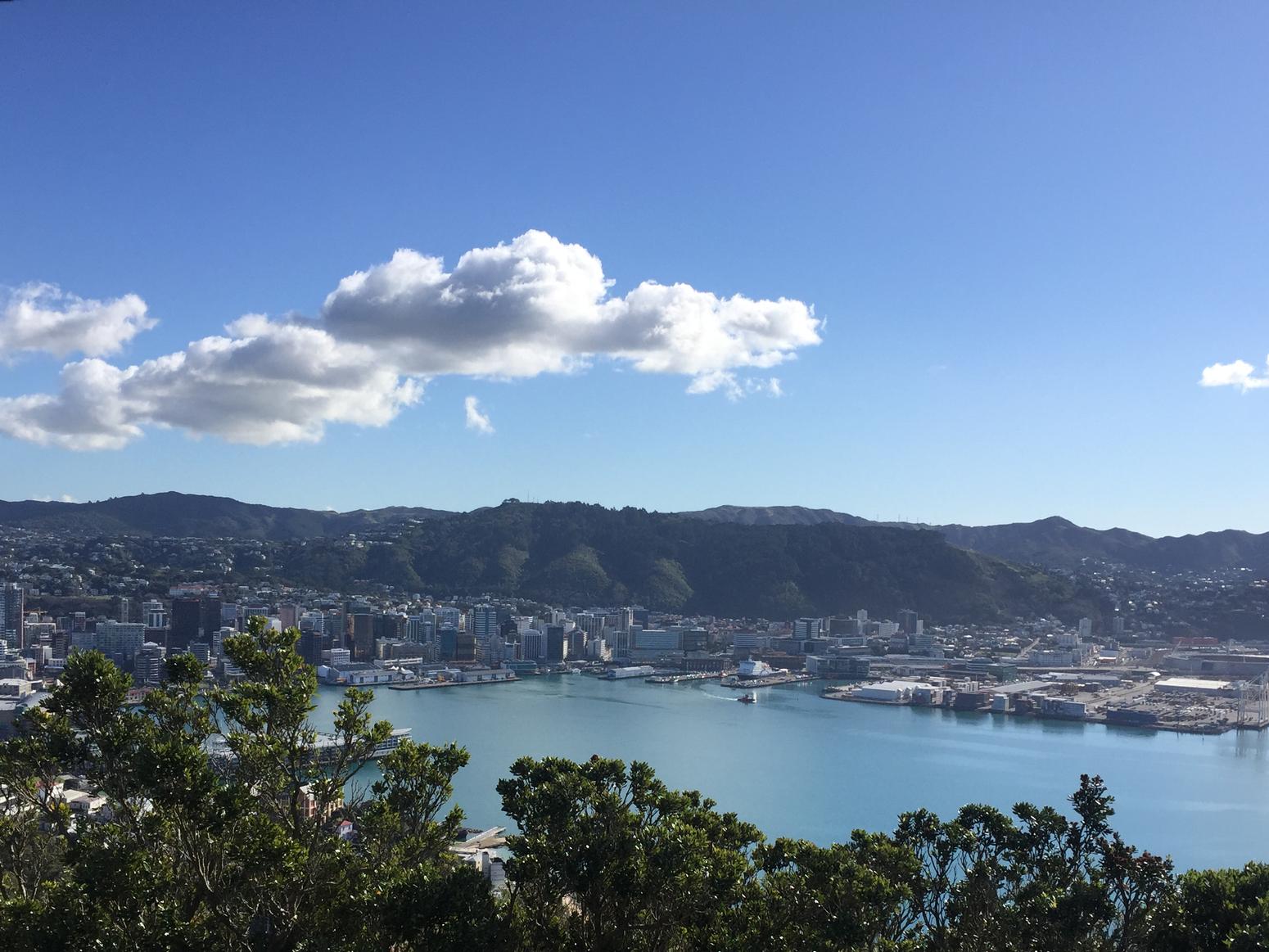 Panorama von Wellington mit Wasser