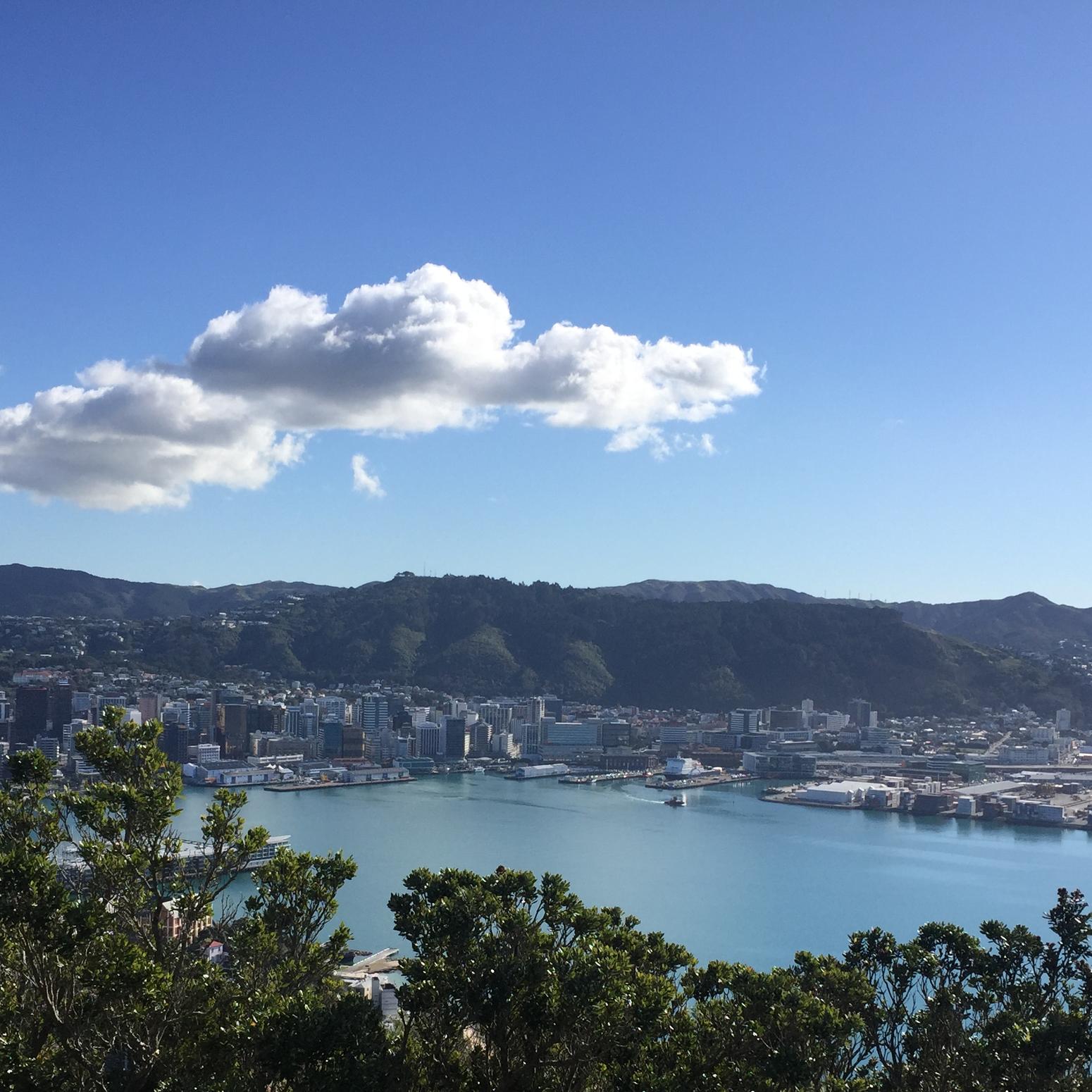 Panorama von Wellington mit Wasser