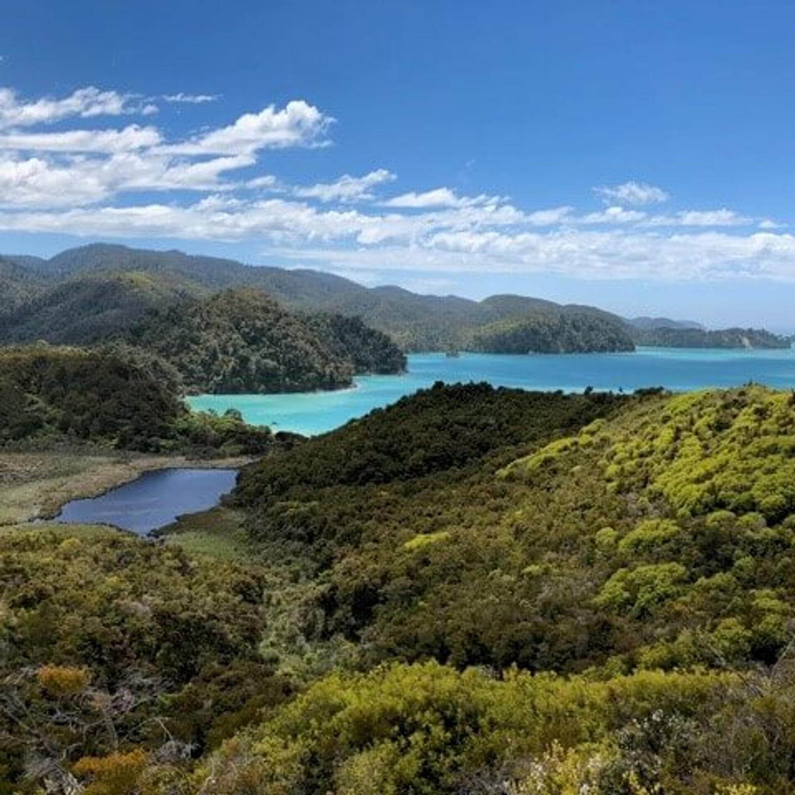 Ein Puzzle mit vielen Teilen