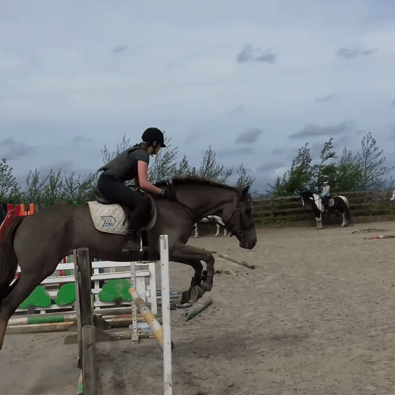 Leonie springt mit Pferd über Hindernis