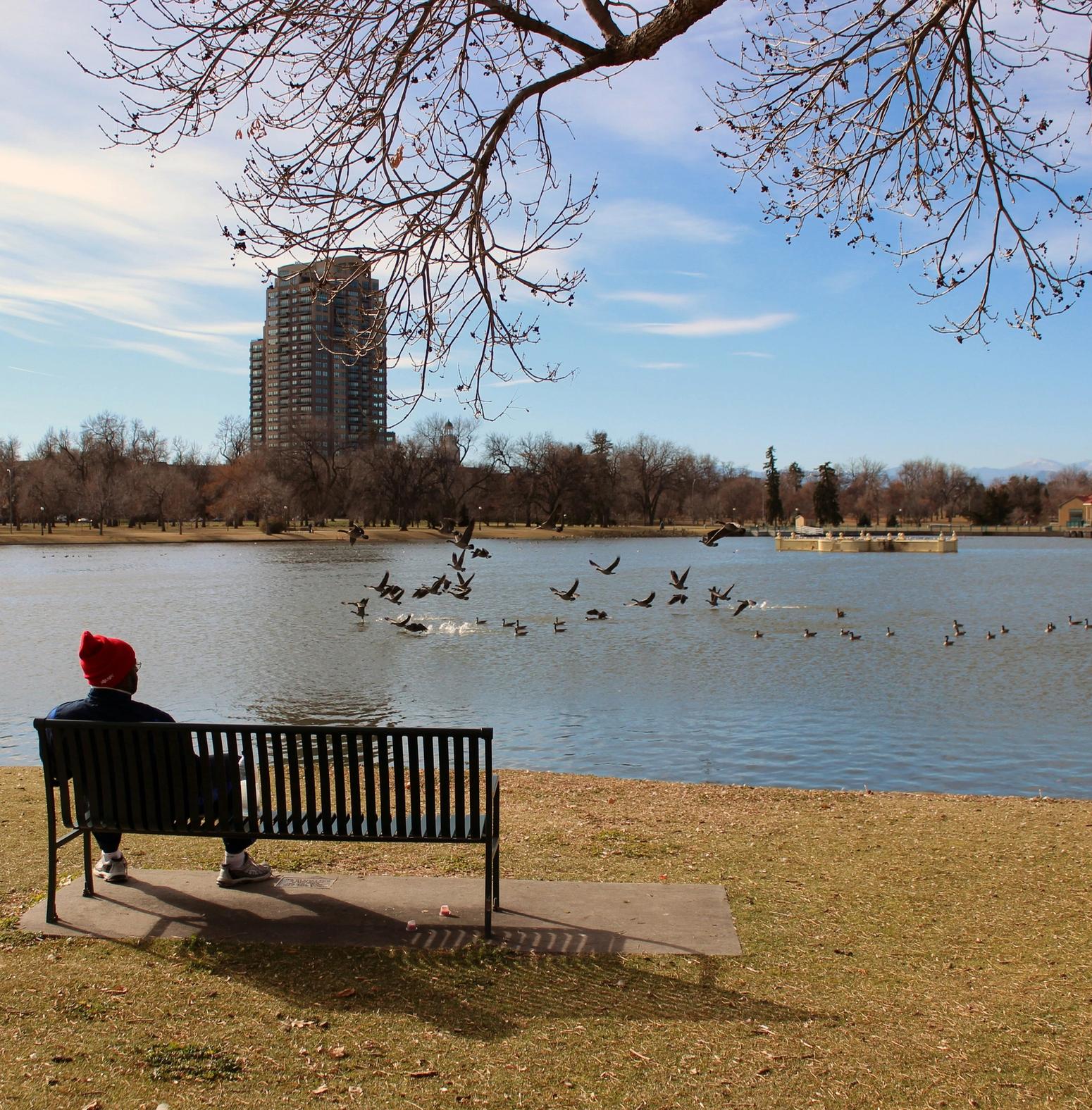 Littleton bench with a view over water