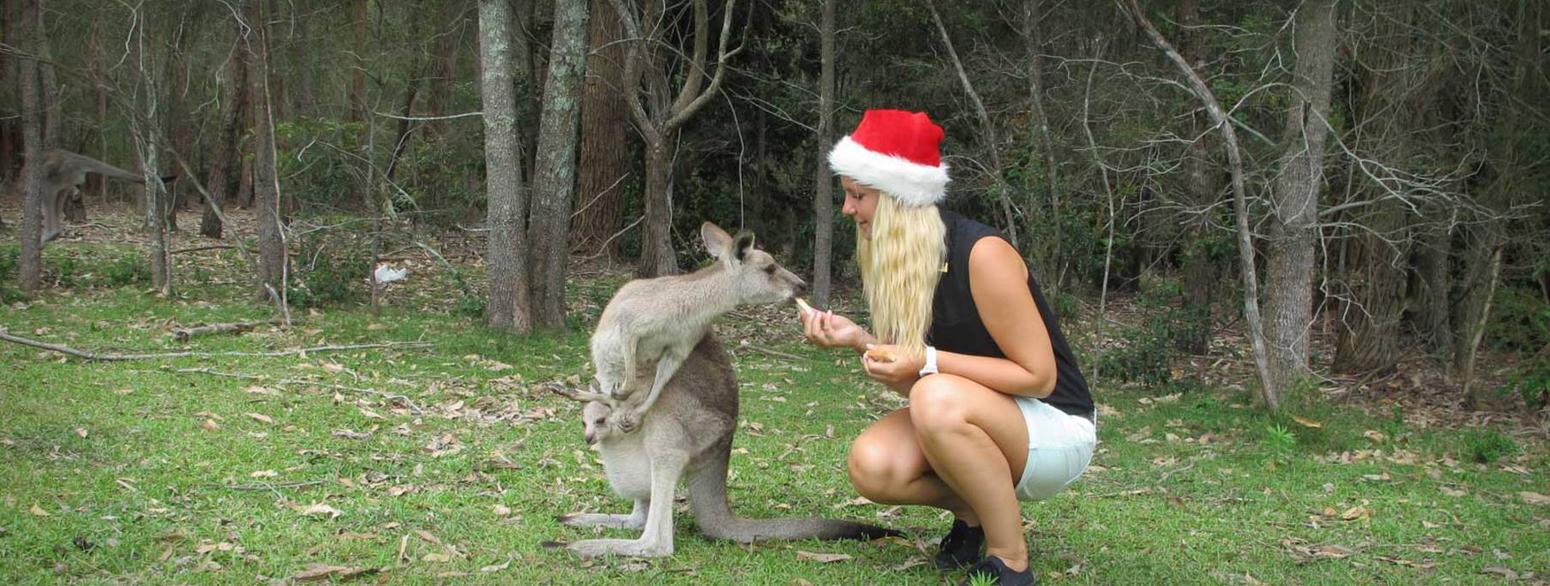 Weihnachten in Australien | Travel-Tipps Australien