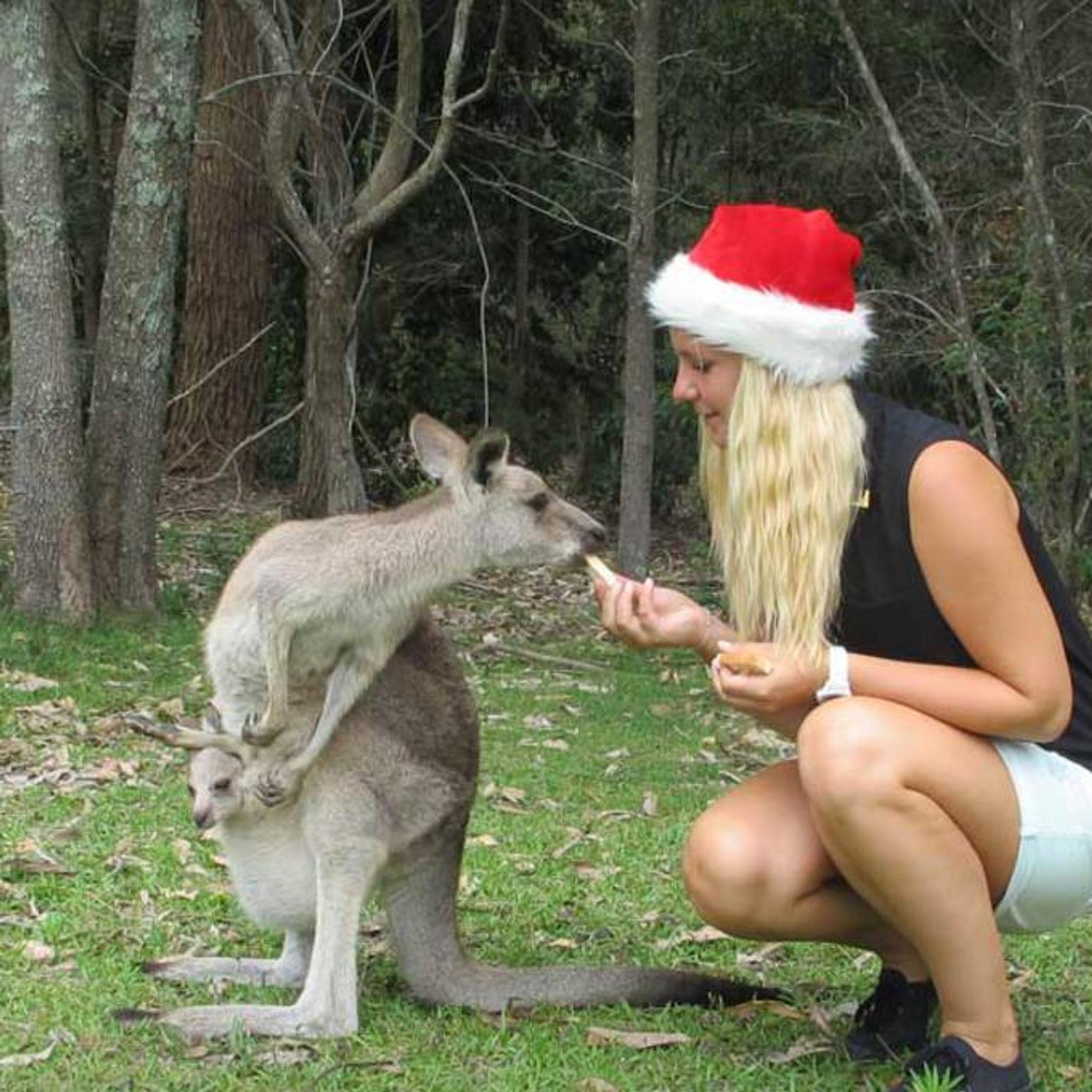Weihnachten in Australien | Travel-Tipps Australien