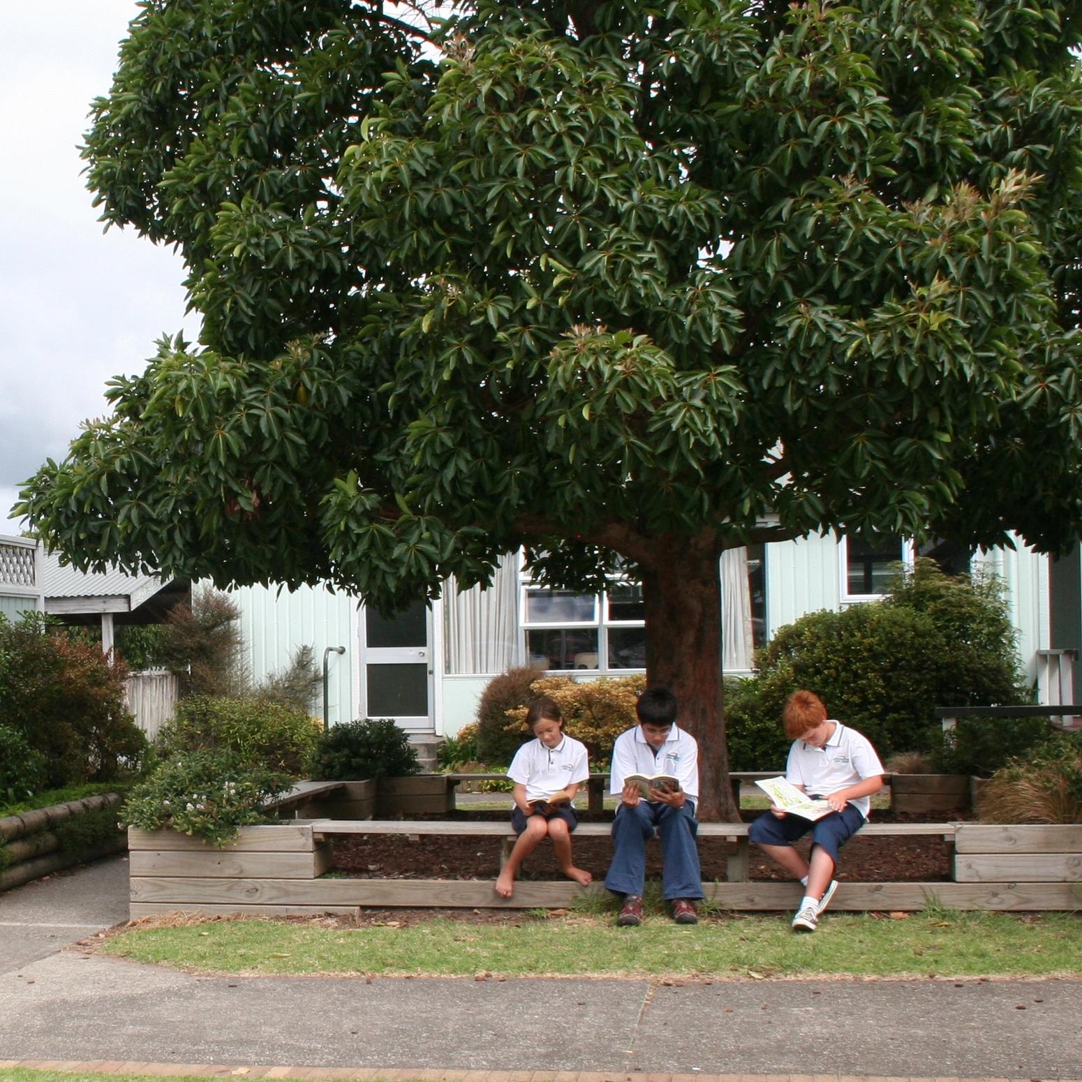 Schüler sitzen auf einer Bank unter Baum und lesen