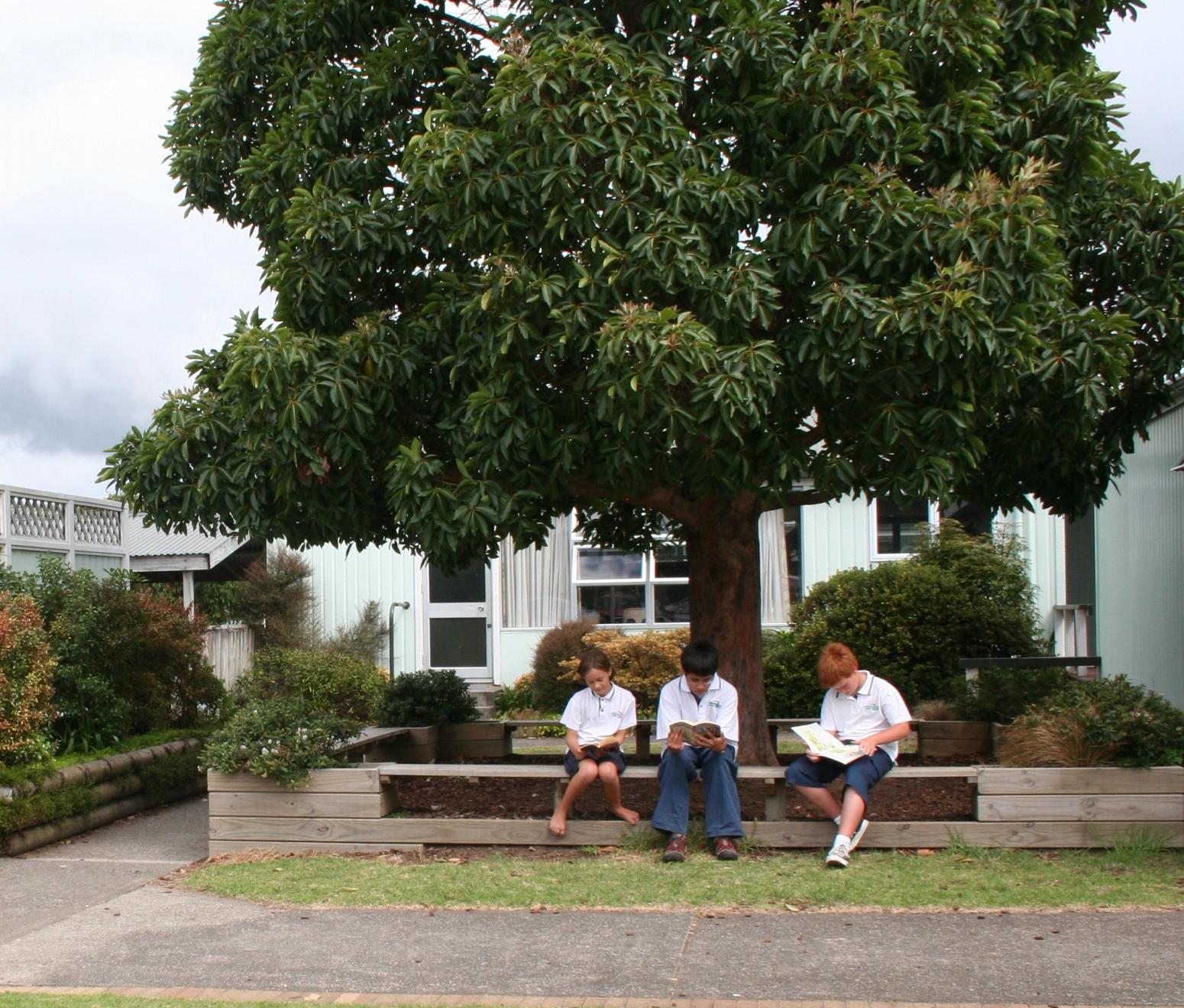 Schüler sitzen auf einer Bank unter Baum und lesen