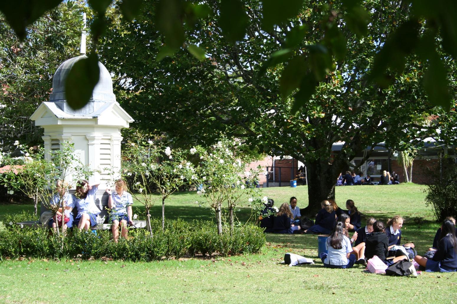 Schülerinnen lesen im Park auf grüner Wiese unter Bäumen