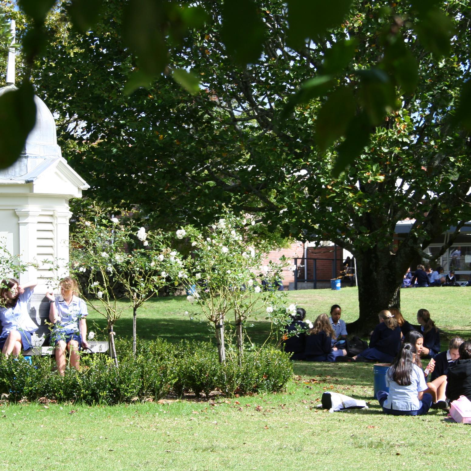 Schülerinnen lesen im Park auf grüner Wiese unter Bäumen