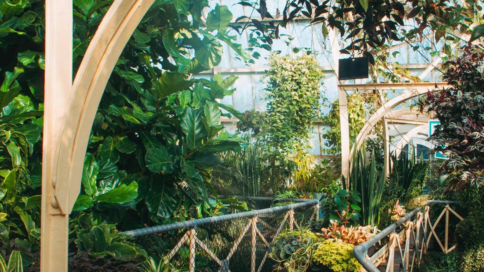 Botanischer Garten