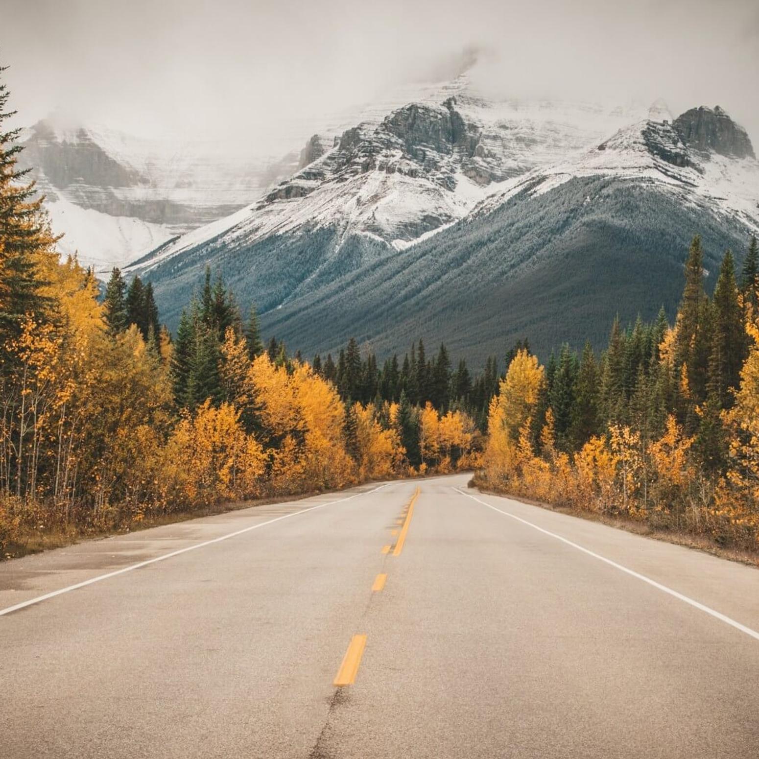 Gebirgsstraße in Alberta