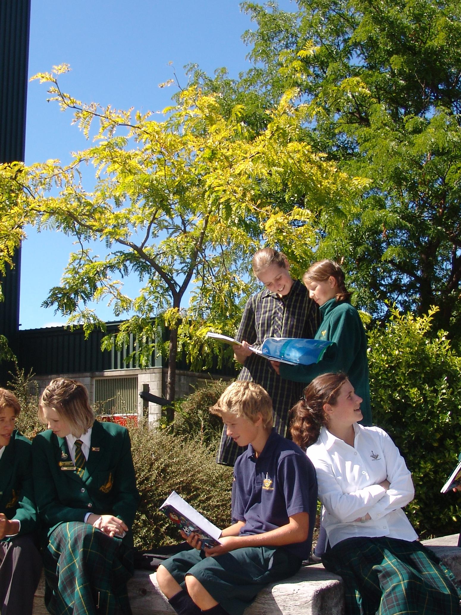 Schüler:innen lernen draußen Neuseeland