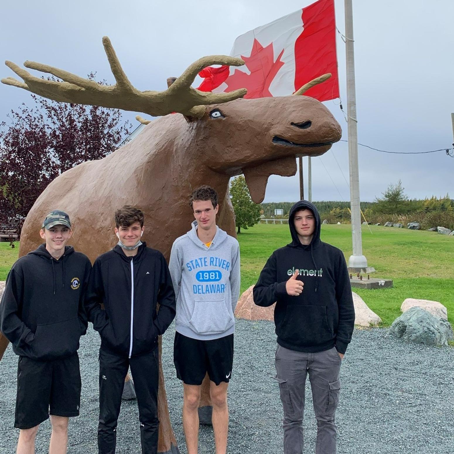 Mein Auslandsaufenthalt in Neufundland