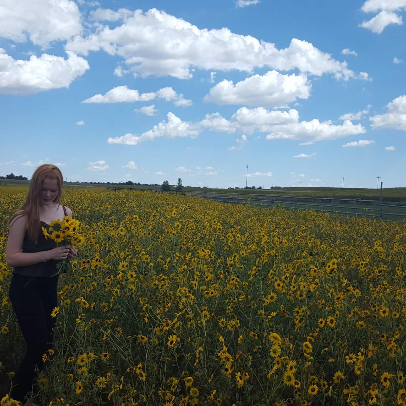 Mein Auslandsjahr in Colorado