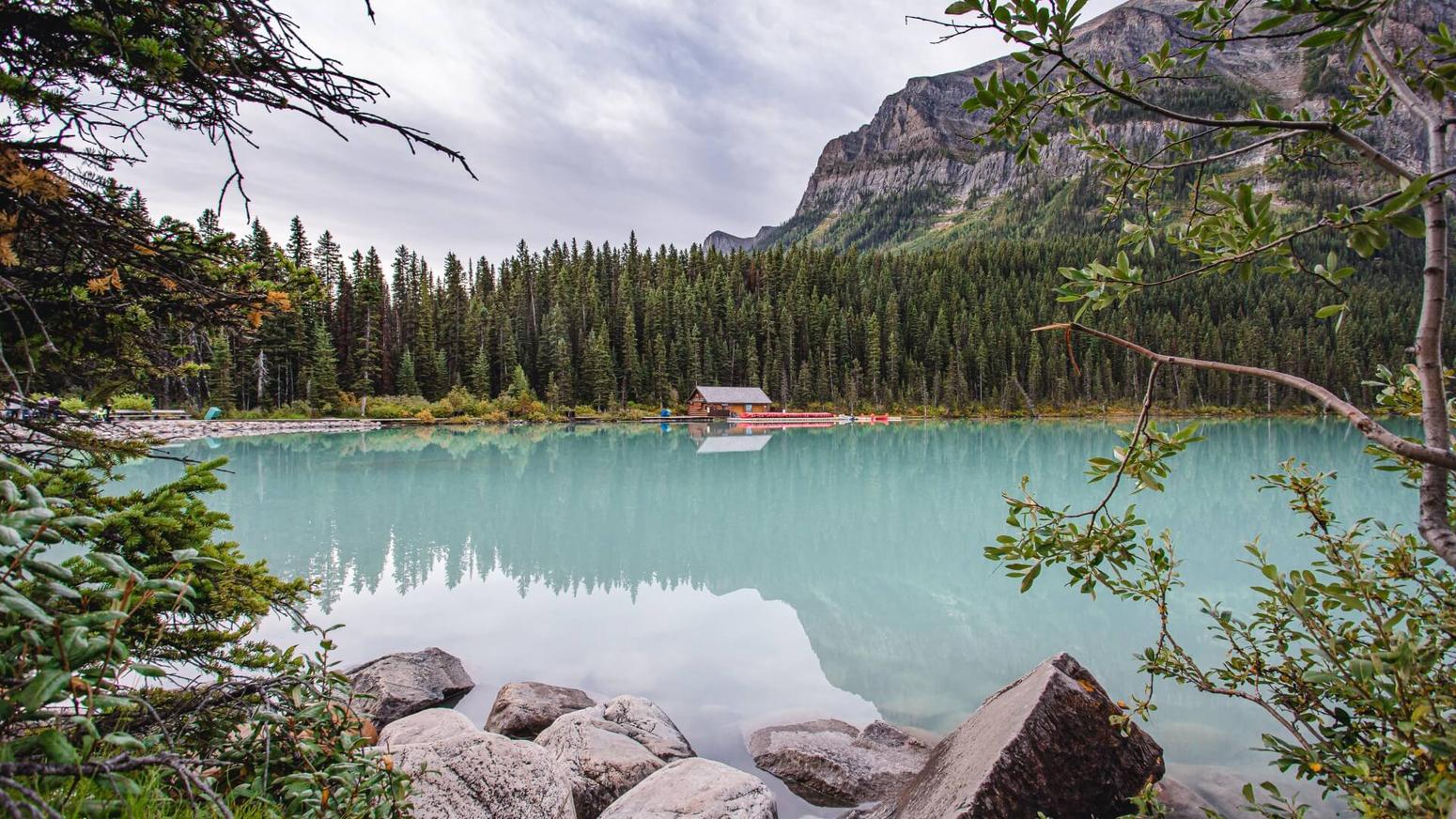 See in Alberta
