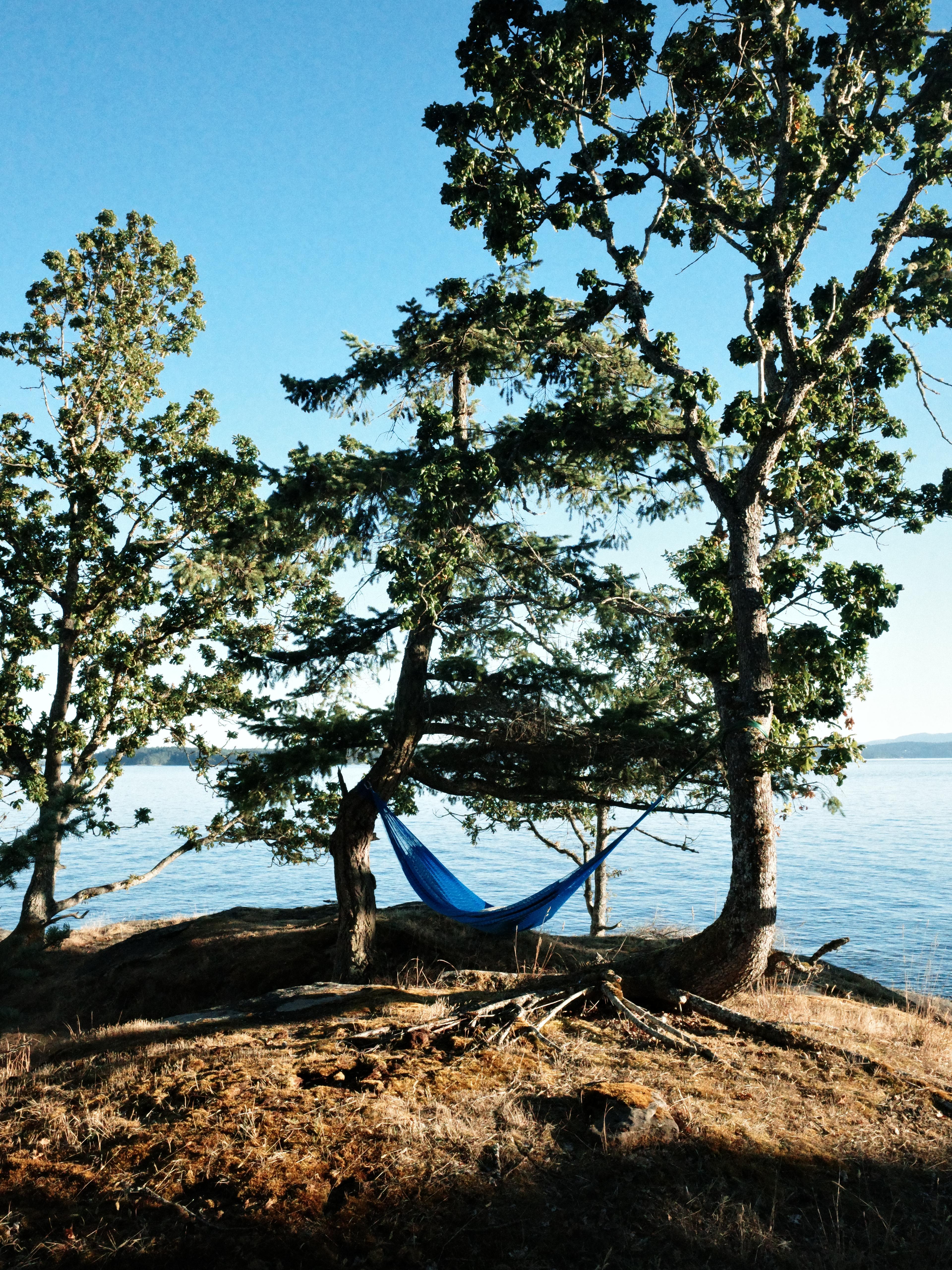 A hammock in Ruckle Provincial Park, Salt Spring