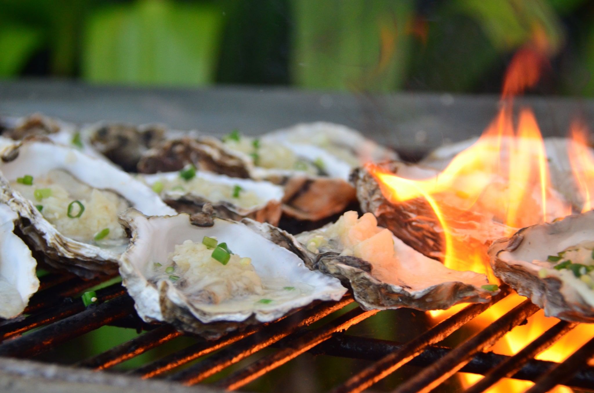 Huîtres grillées
