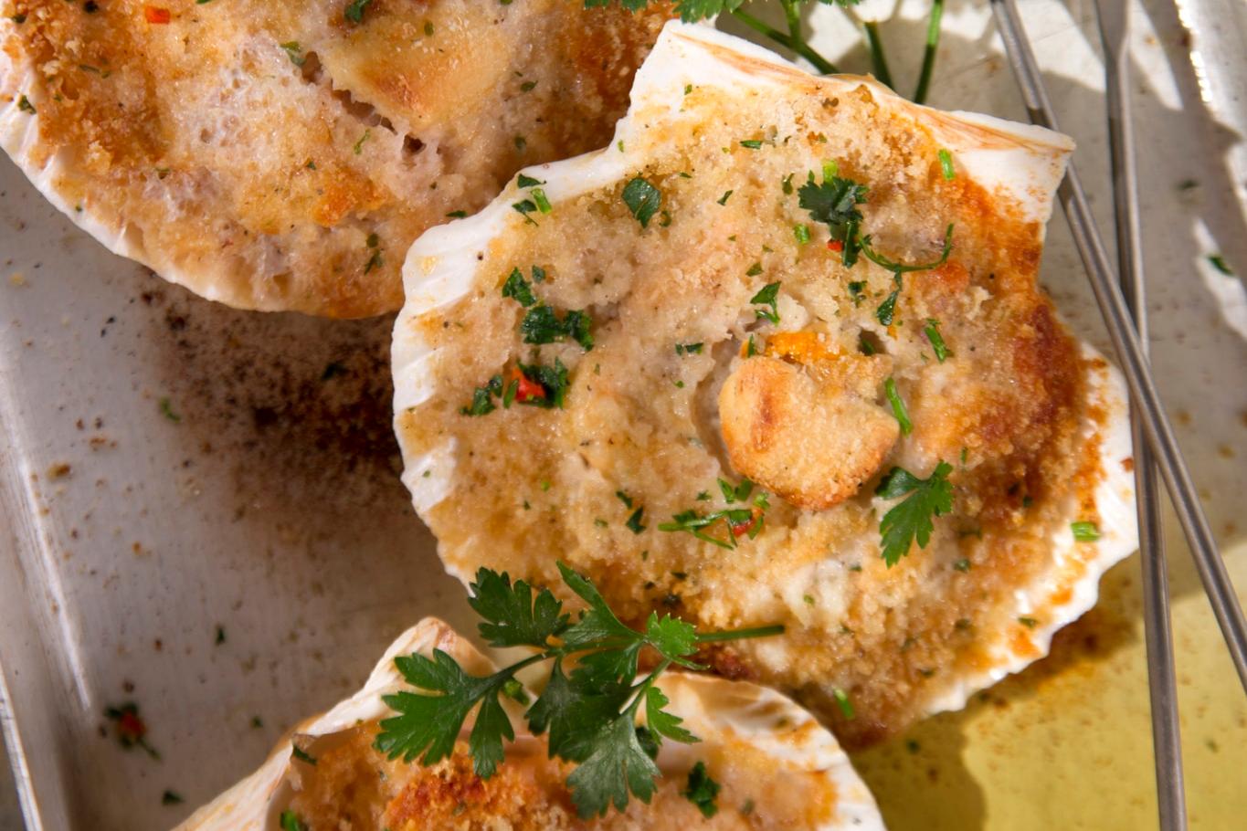 Recette coquilles saint-jacques gratinées