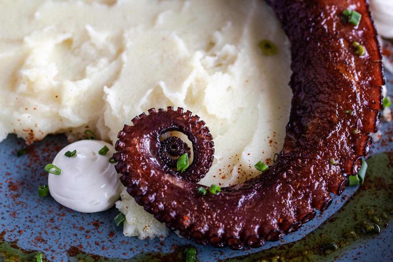 Tentacule de poulpe grillé sur purée de pommes de terre