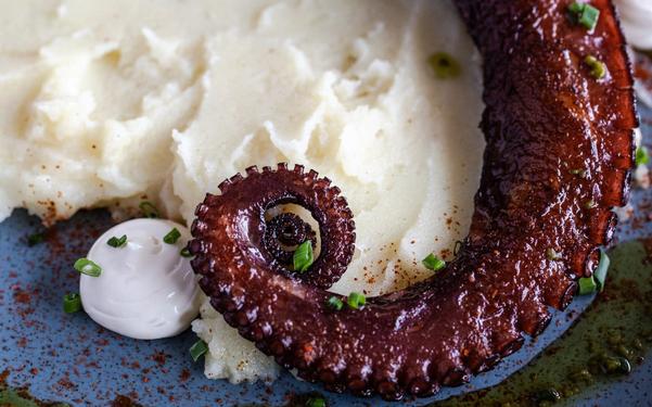 Tentacule de poulpe grillé sur purée de pommes de terre