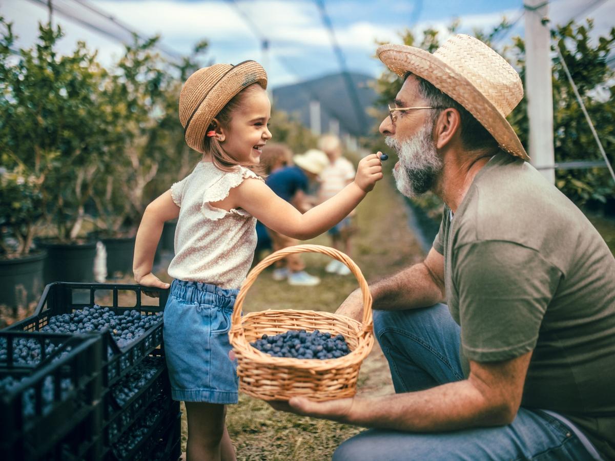 Saisons des petits fruits rouges et bleus : quand les trouver dans la nature (et dans nos jardins) ?
