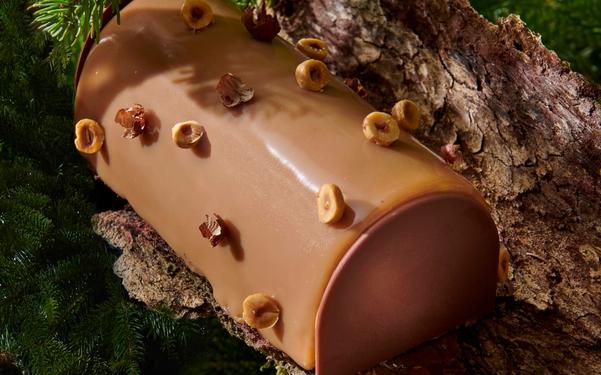 Bûche de Noël à la noisette et chocolat