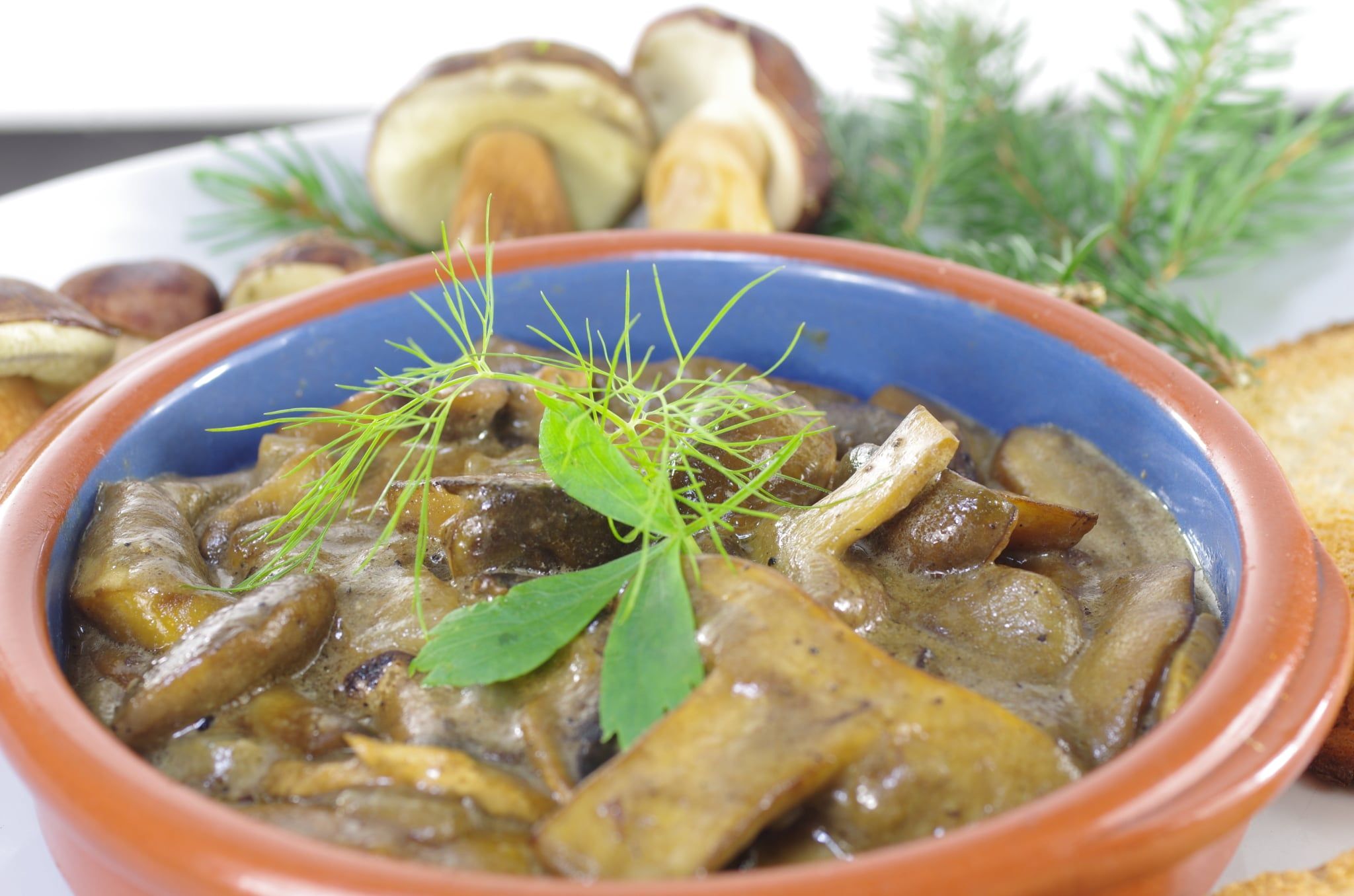 Ragoût de champignons