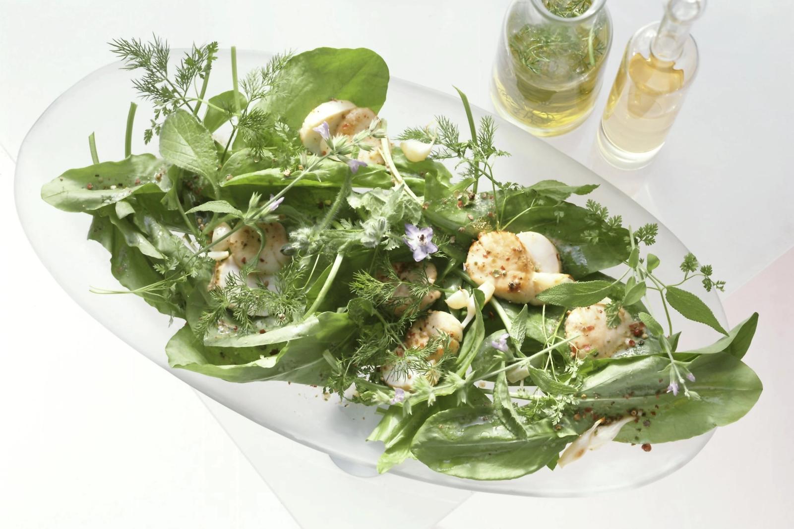 Salade d’oseille, herbes fraîches et fleurs, noix de Saint-Jacques poêlées