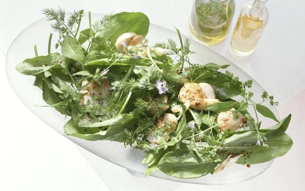 Salade d’oseille, herbes fraîches et fleurs, noix de Saint-Jacques poêlées