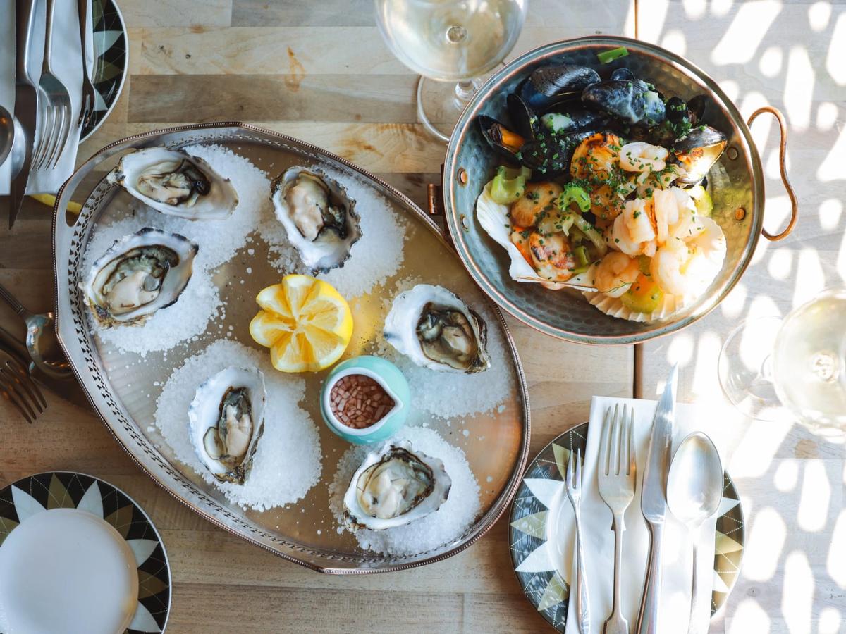 Astuces coquillages : récolter, nettoyer, ouvrir, conserver et cuisiner – un guide et 11 recettes