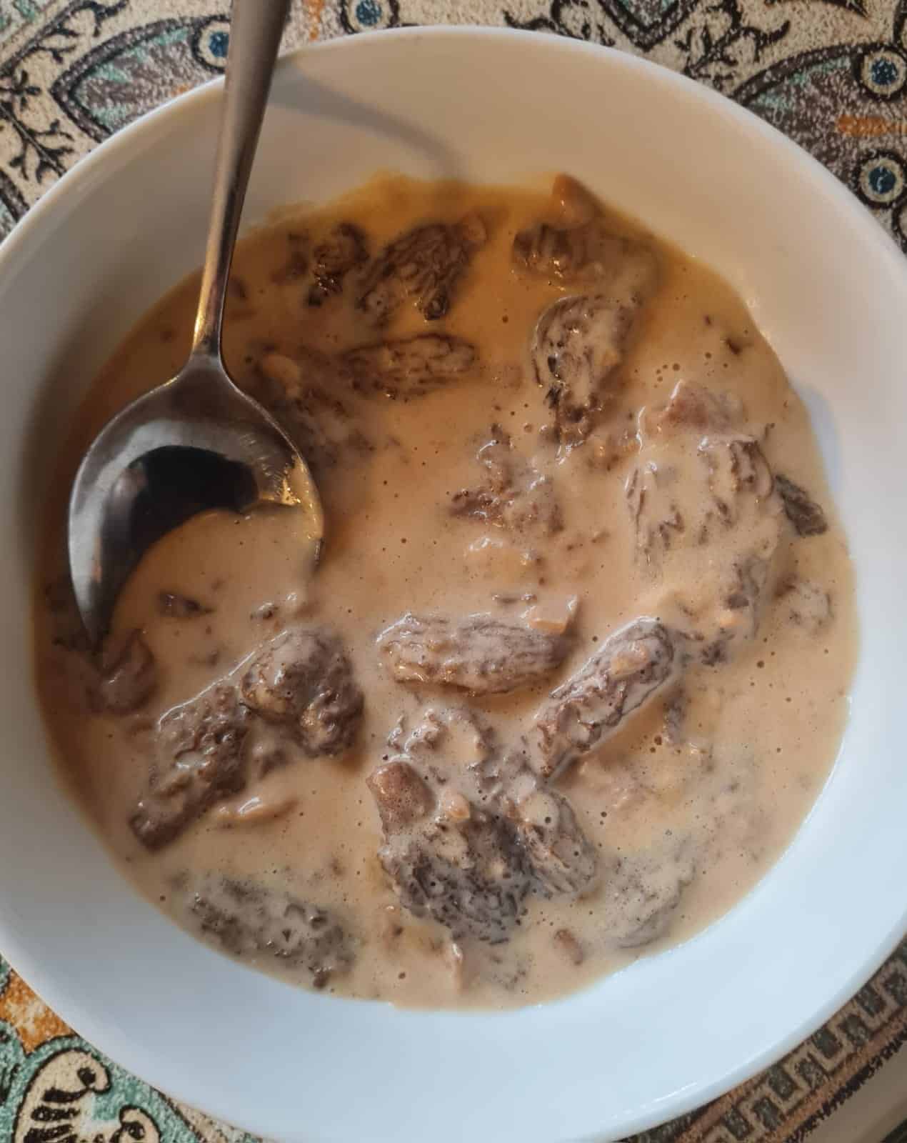 Recette sauce aux morilles