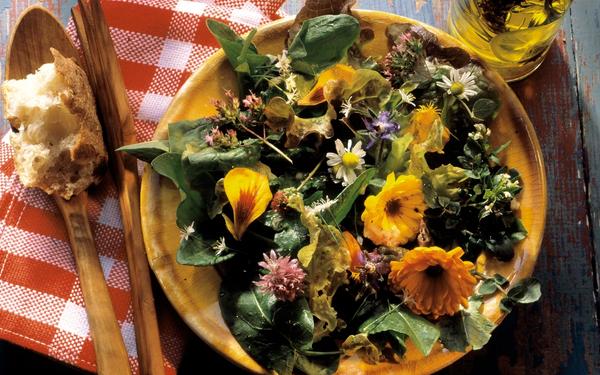 Salade printanière de jeunes pousses et de fleurs