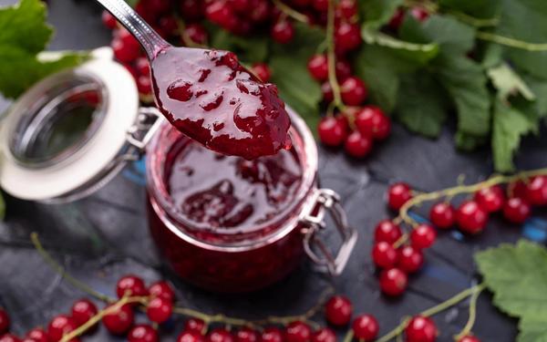 Recette de confiture de sureau rouge