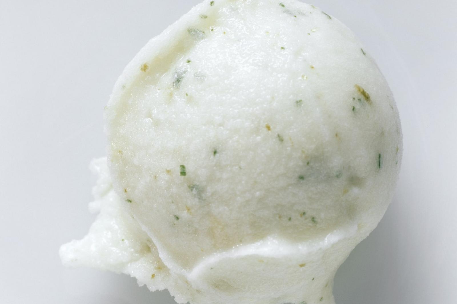 Sorbet au citron vert et aloe vera