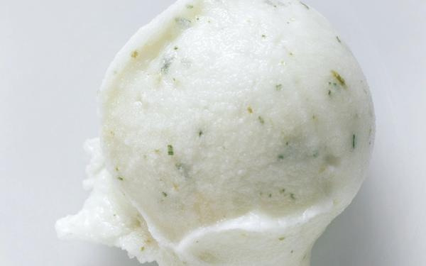Sorbet au citron vert et aloe vera