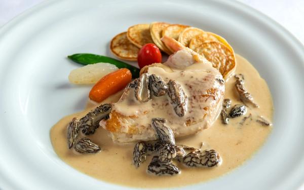 Poulet aux morilles