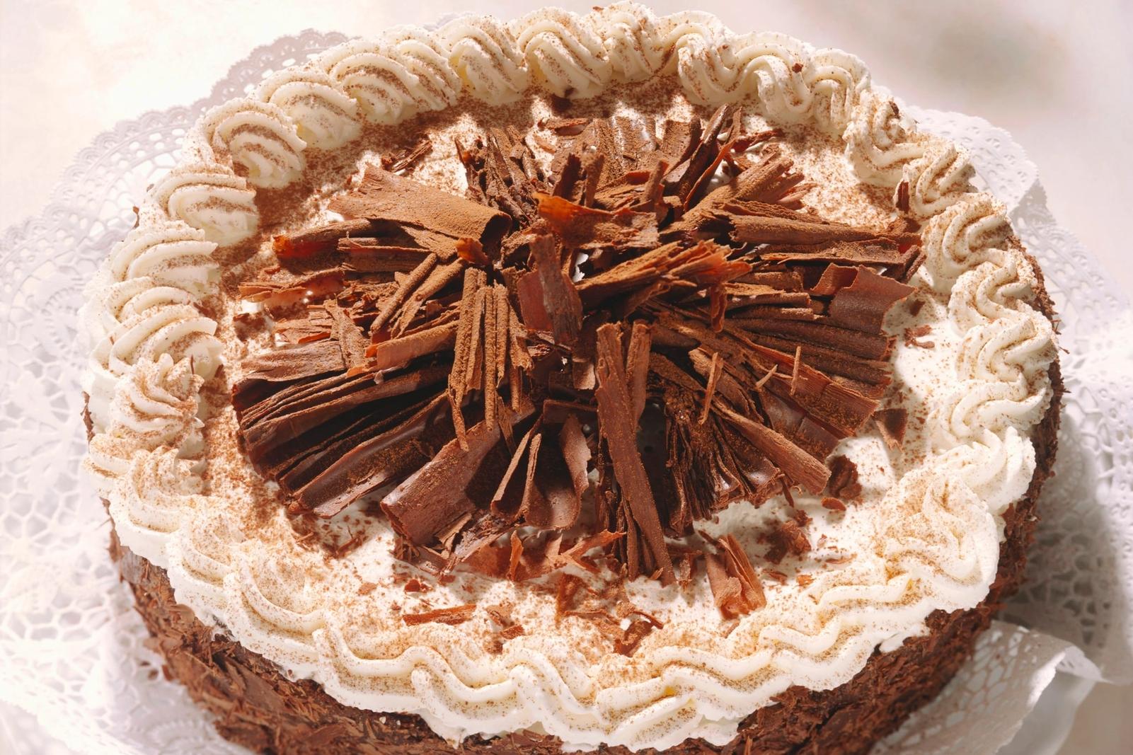 Gâteau au chocolat à l'ancienne de Vienne