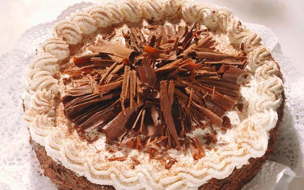 Gâteau au chocolat à l'ancienne de Vienne