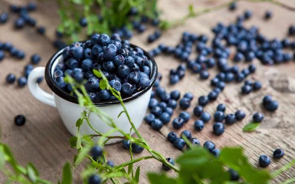 Confiture de myrtilles sauvages