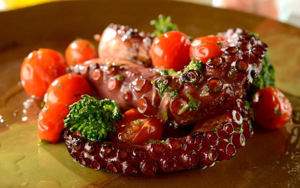 Recette du poulpe grillé au brocoli et confit de tomate