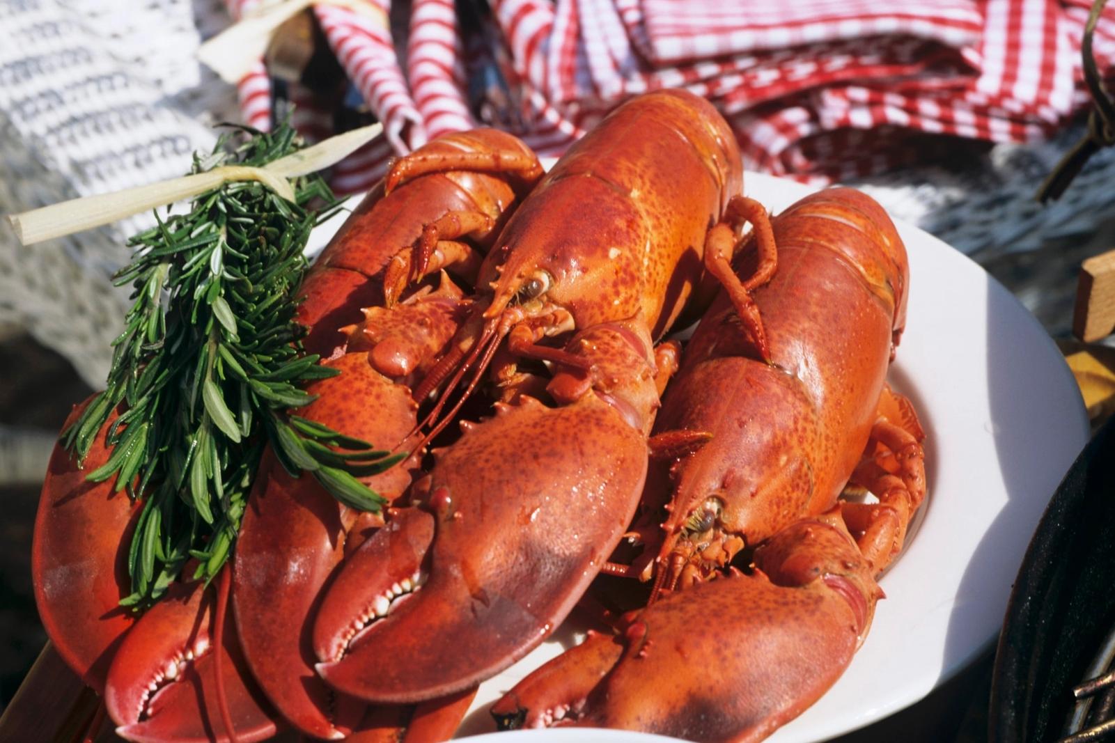 Homard cuit au barbecue